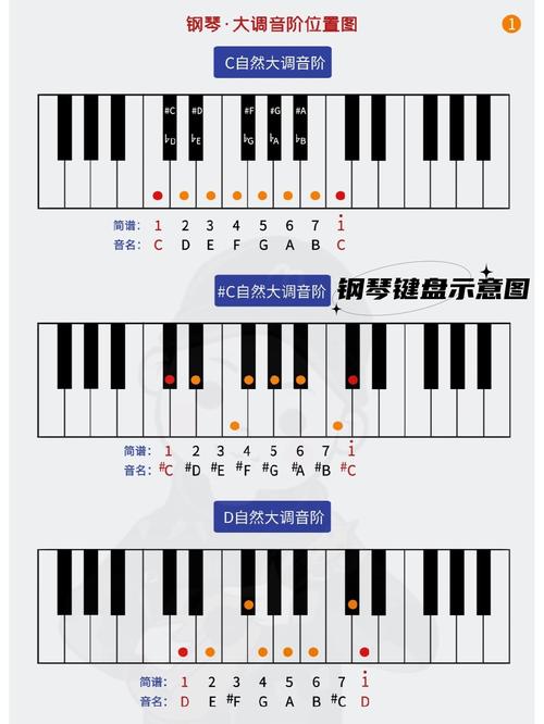 电钢琴键盘结构示意图