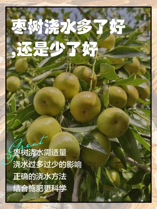 浇水多了?少了?就是作