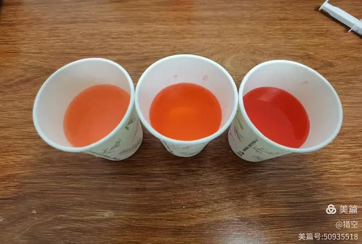 粗陶与白瓷杯倒入红墨水静置对比实验图