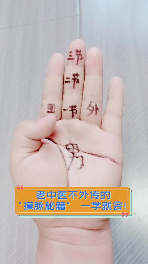 摸到文明的脉，比背会考点有用多了