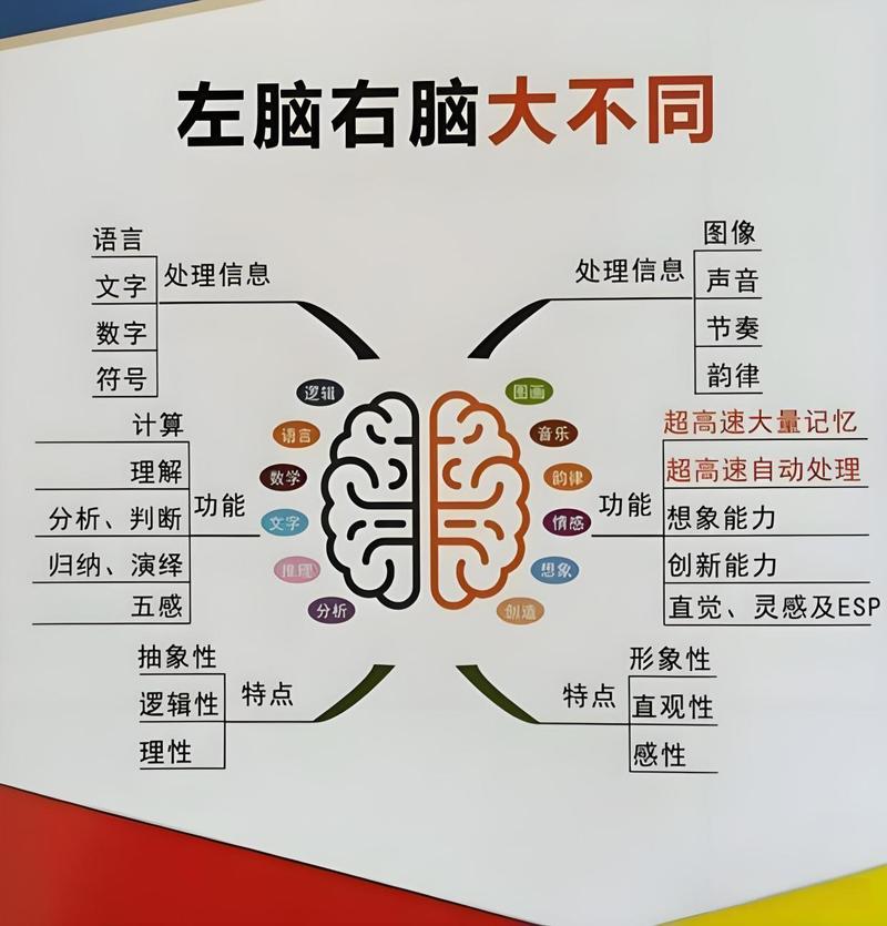 大脑信息编码与检索过程比喻图