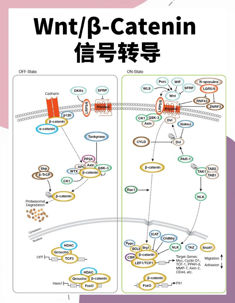 入行的“非典型”路径