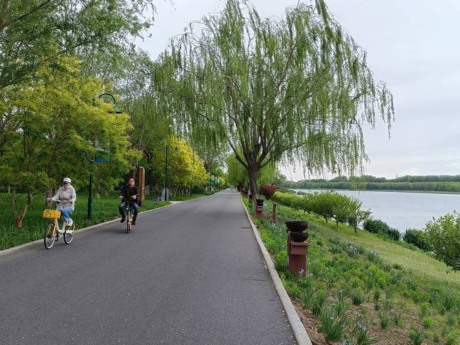 城市近郊临河绿道骑行路线实景
