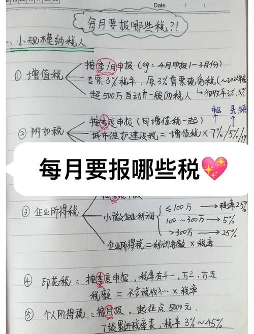 独立生活的第一课——从煮糊的面条到报税单