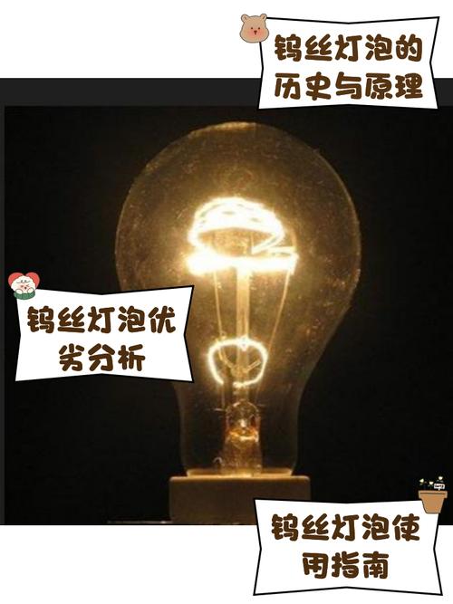 转行实操避坑指南 💡