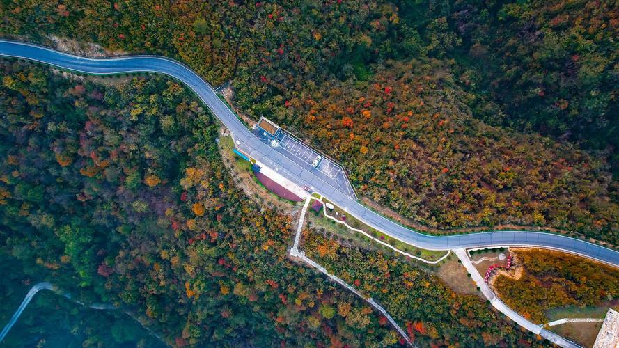 湖北南漳五鱼村春日茶园盘山公路