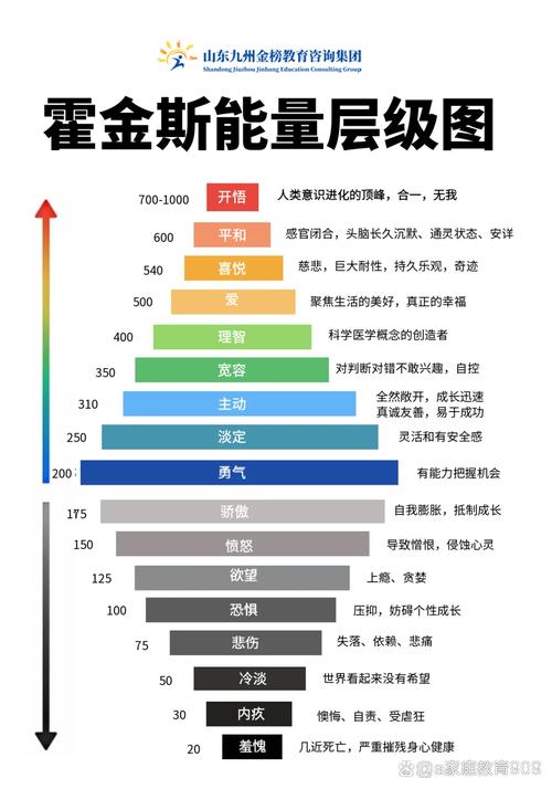 儿童成长不同类型能量转换示意图
