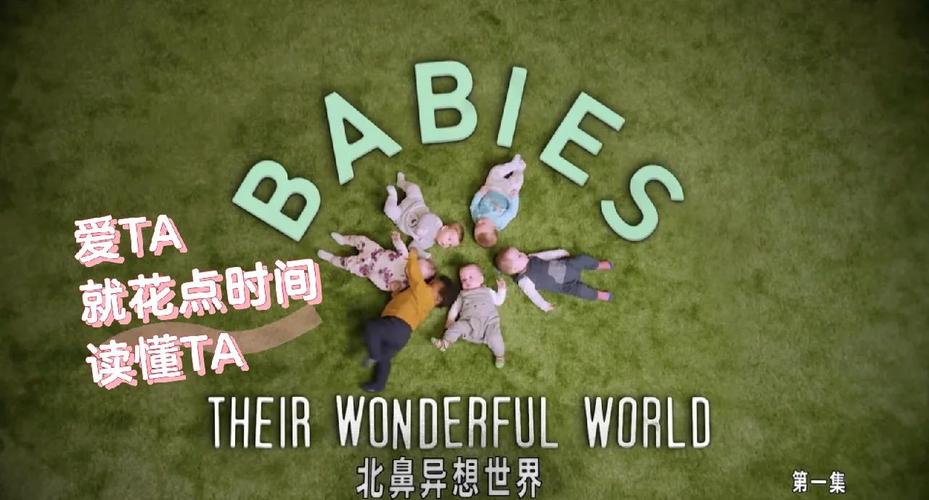 BBC纪录片北鼻异想世界实验室画面