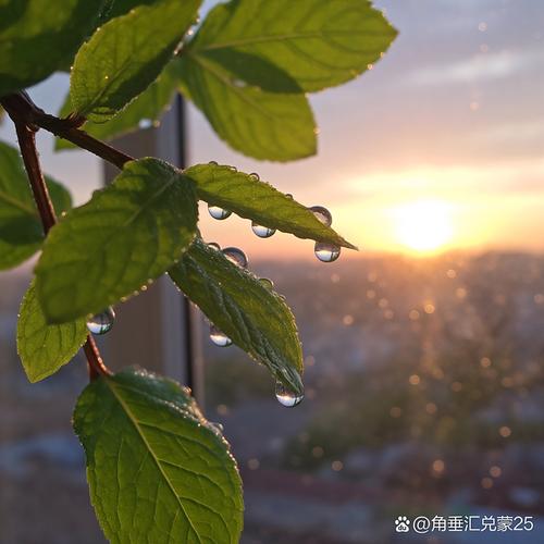 整窗红的新光景