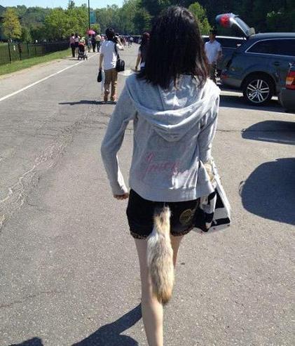实地走一圈,狐狸尾巴就露出来了