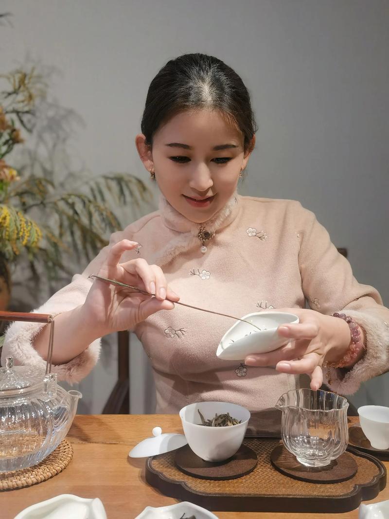 茶艺师正在专注冲泡老普洱的侧影
