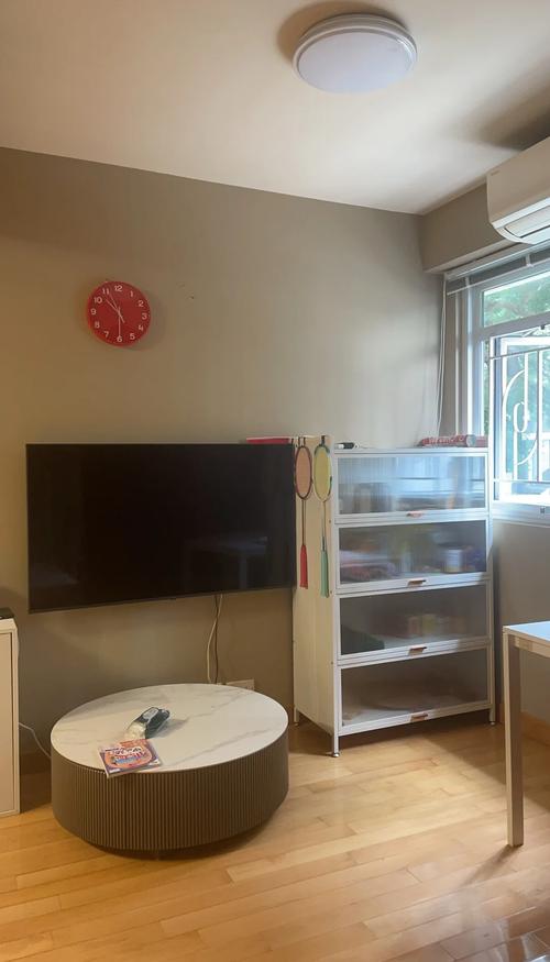 工业外派子女寄宿家庭日常客厅实拍