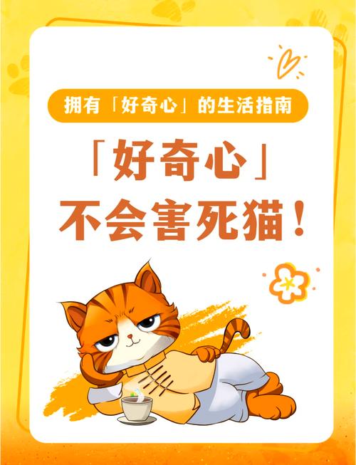 别让“高大上”毁掉你的好奇心