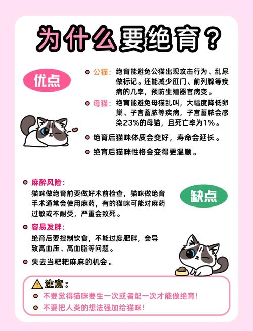 暂时不打算绝育，你要盯好这几件事