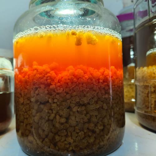 玻璃瓶中发酵中的水开菲尔颗粒和水果