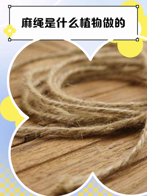 麻绳的另一种生命力