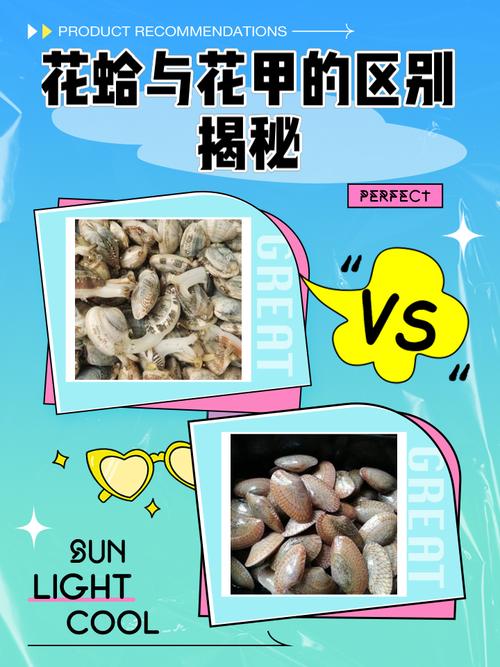 海鲜市场正常带壳花蛤和泡药花蛤对比图