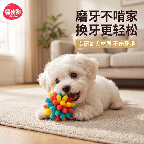 幼犬换牙期啃咬橡胶磨牙棒场景