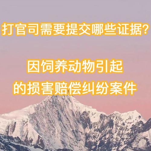 饲养动物致害纠纷现场拍证据手机操作示意图