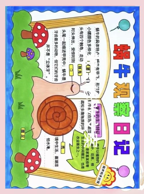 小学孩子蹲草丛观察蜗牛的手绘笔记