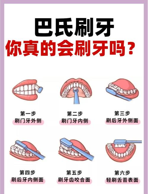 牙龈牙齿交界处正确刷牙手法示意图