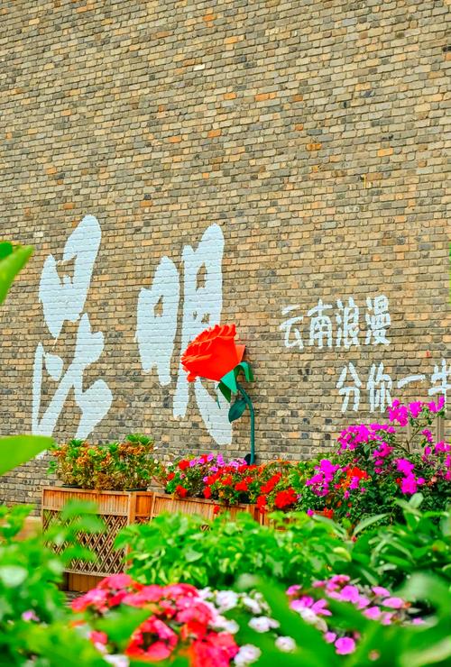 这些玩法，比打卡拍照更有意思
