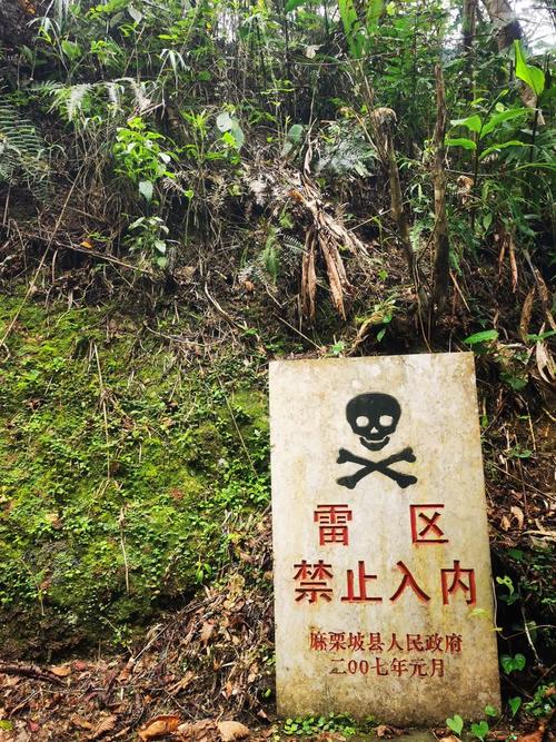 耐黄变性到底有多重要?我这些年踩过的坑都在这了-家装4S网