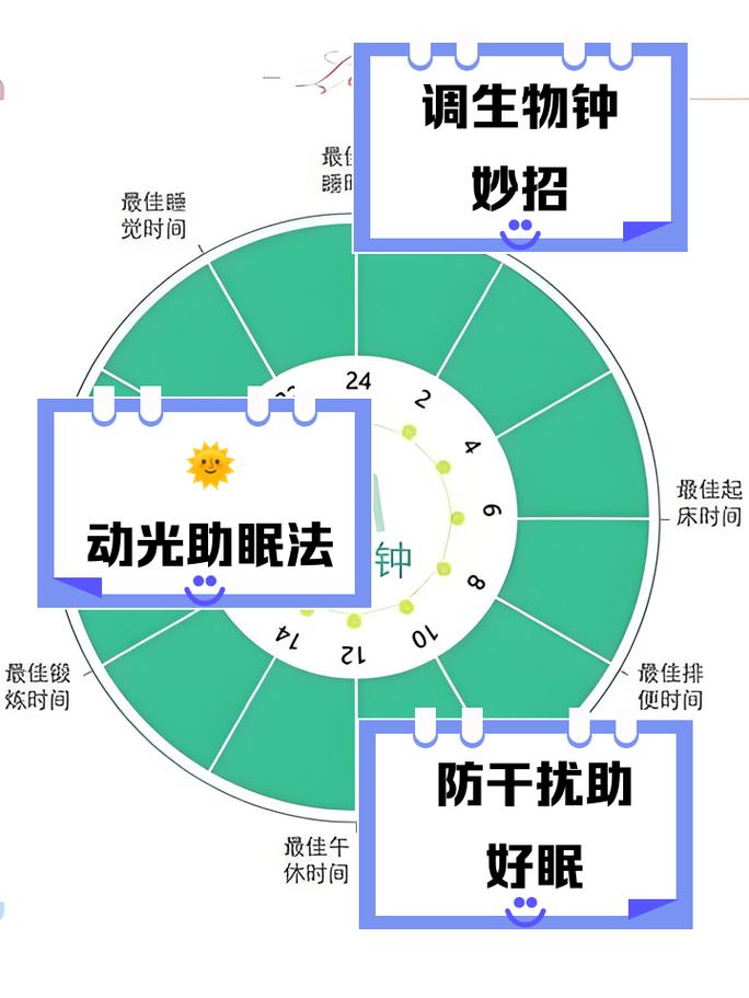 返程后固定起床时间的光线调节示意图