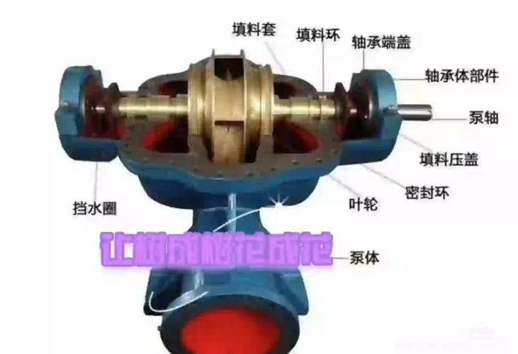 混流泵叶轮与轴流泵剖面结构对比图