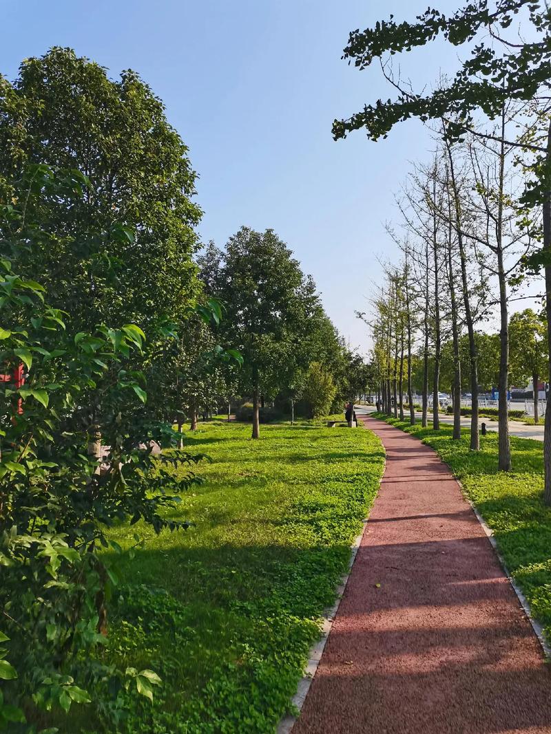 作家在户外散步寻找灵感场景