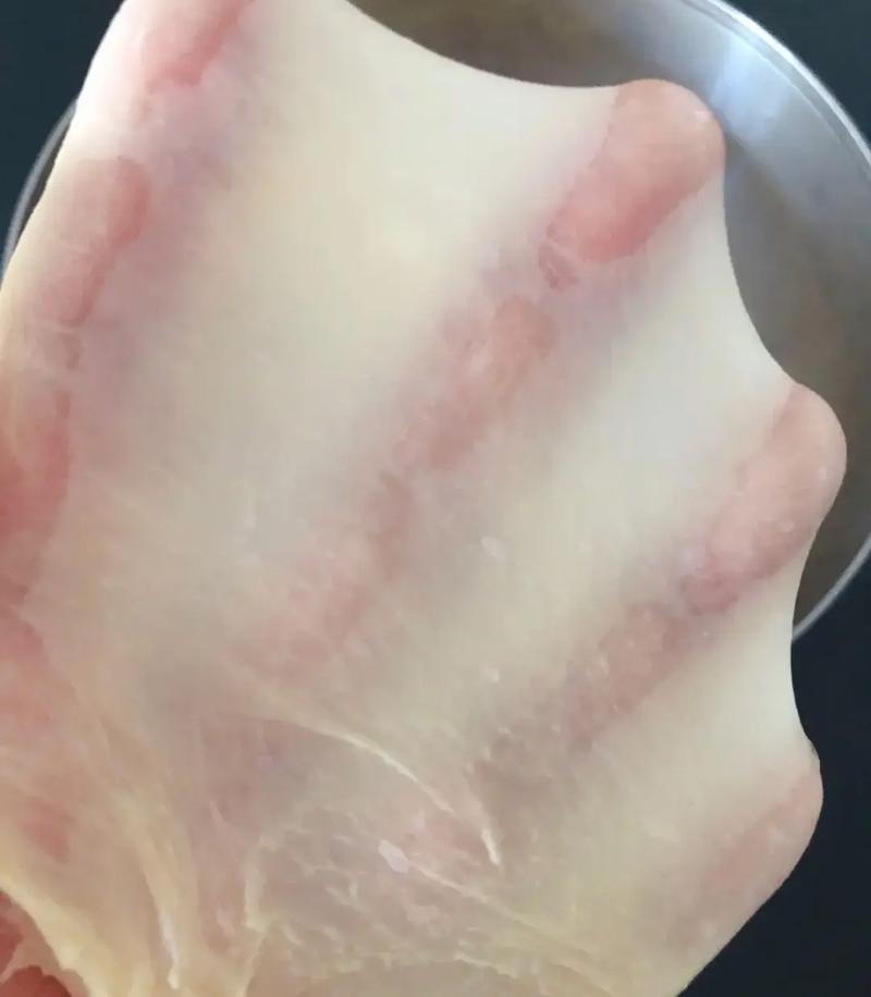 ❗ 揉面,别让手套膜成了执念