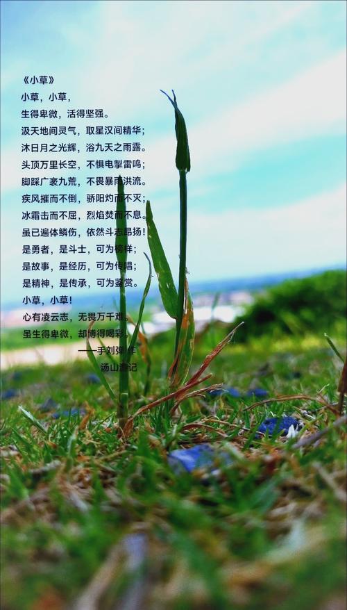诗歌不是装饰品，是救命稻草