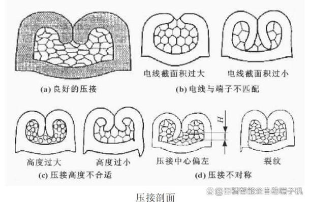 高质量工业电缆组件接头压接截面显微镜视图