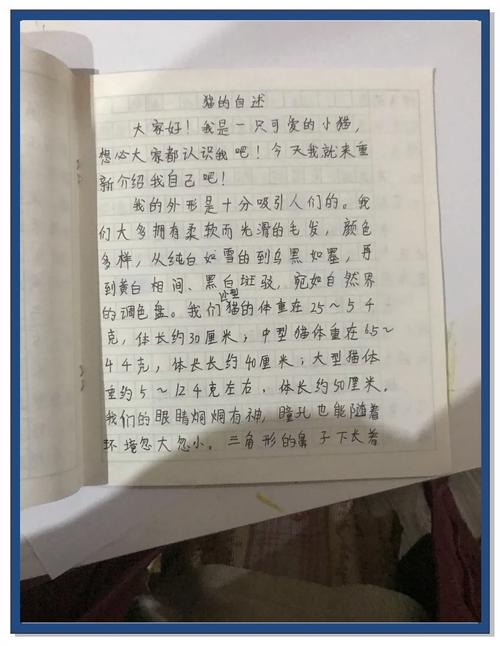 高中生记录流浪猫日常的手写综合素质评价内页