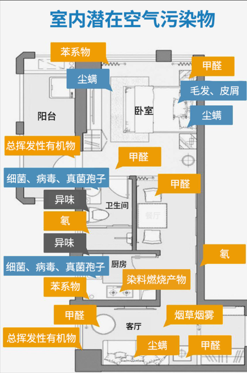 家庭客厅宠物异味来源分布图