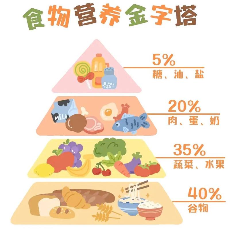 小学生健康饮食金字塔彩色挂图