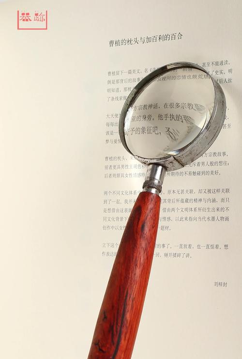 🔍 诊断的艺术