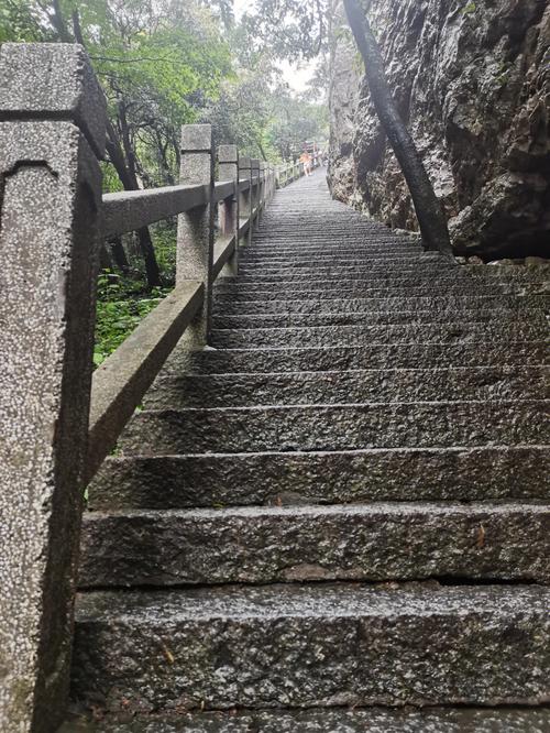 庐山三叠泉台阶上的马尾松林道
