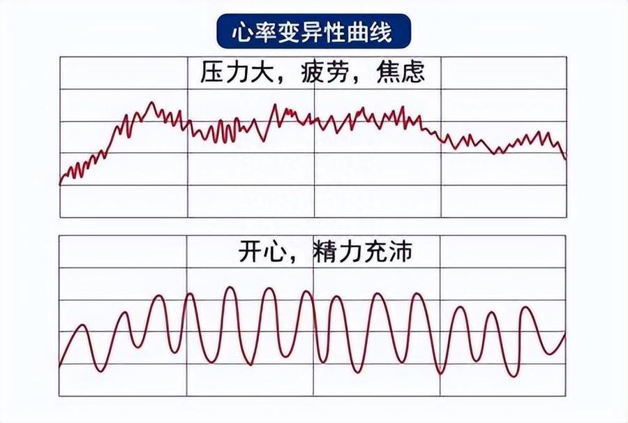 可穿戴设备心率变异性趋势曲线图