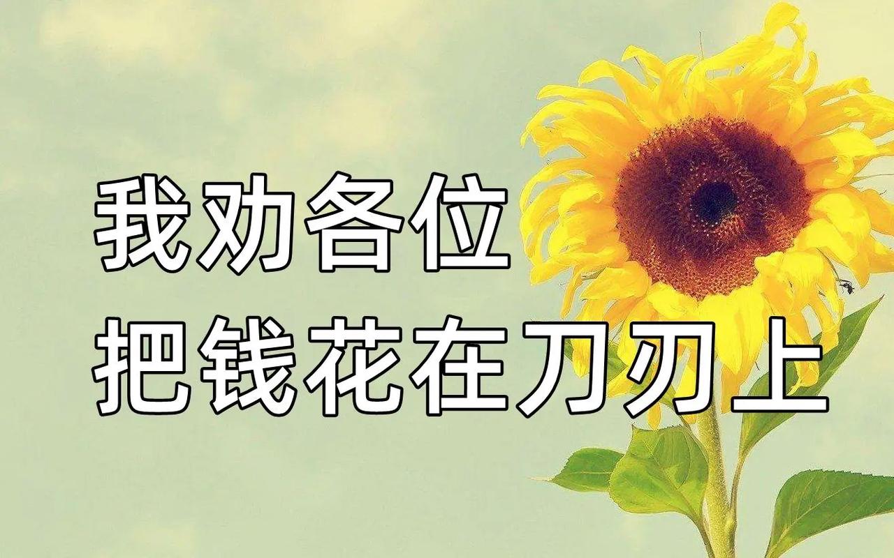 💰 预算和材料，钱要花在刀刃上