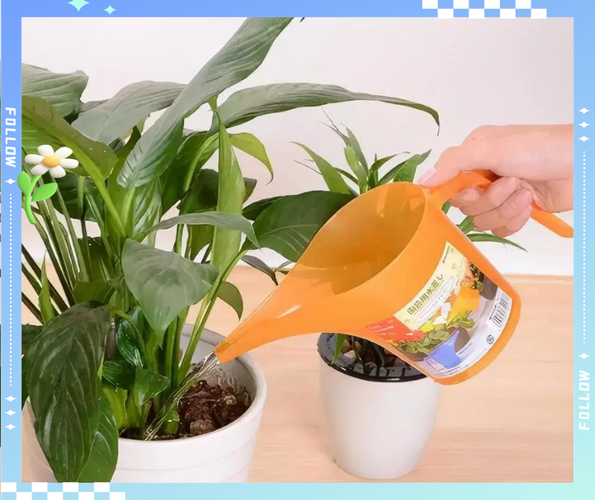 客厅大型绿植旁浇水工具就近放置实拍