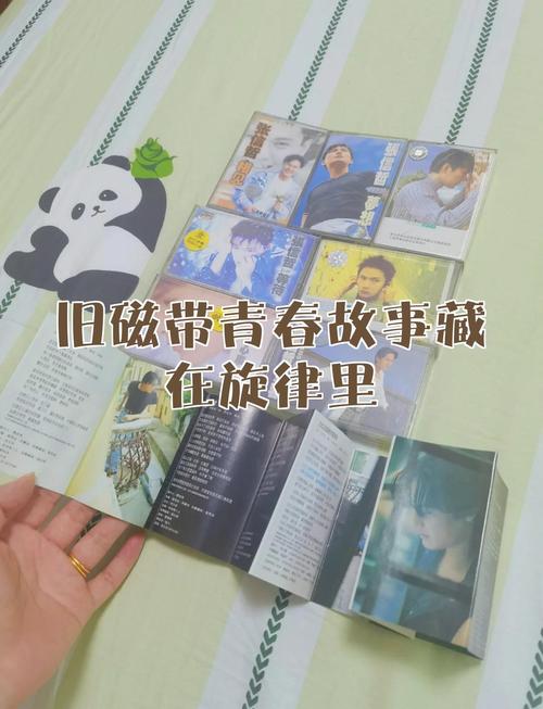 藏在浪声里的旧故事