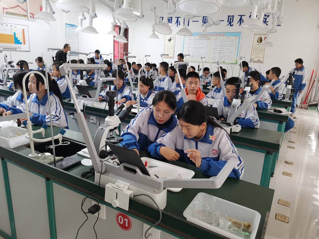 中小学课堂学生分组科学探究真实实验场景