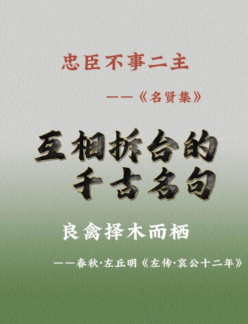 别急着做鉴定，先站在对方的立场上拆你的台