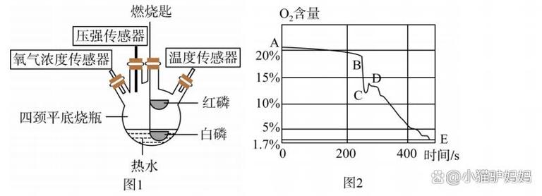 初中化学不同氧气浓度下棉花温度着火点对比实验图