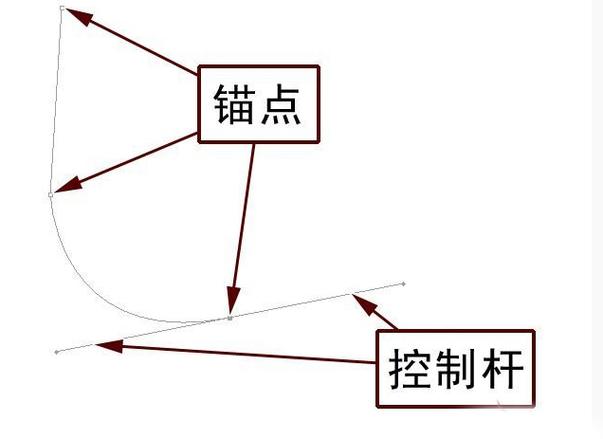 内容结论锚点标注示例图