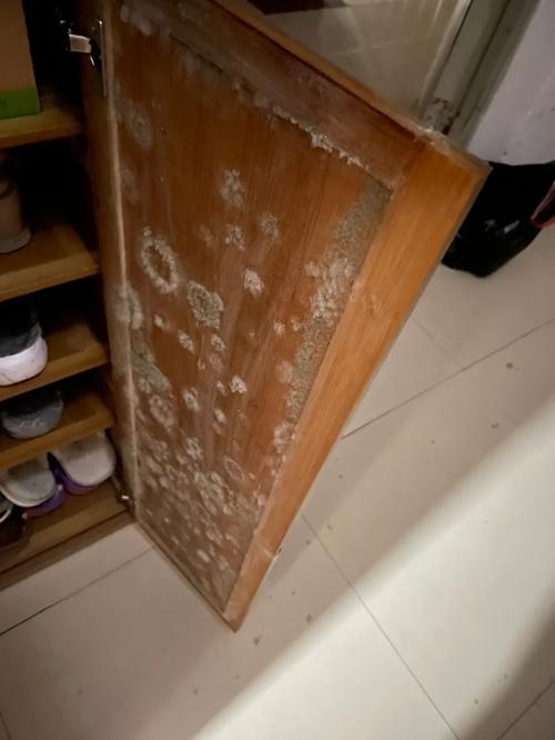 梅雨季室内受潮长霉的干货山货实拍