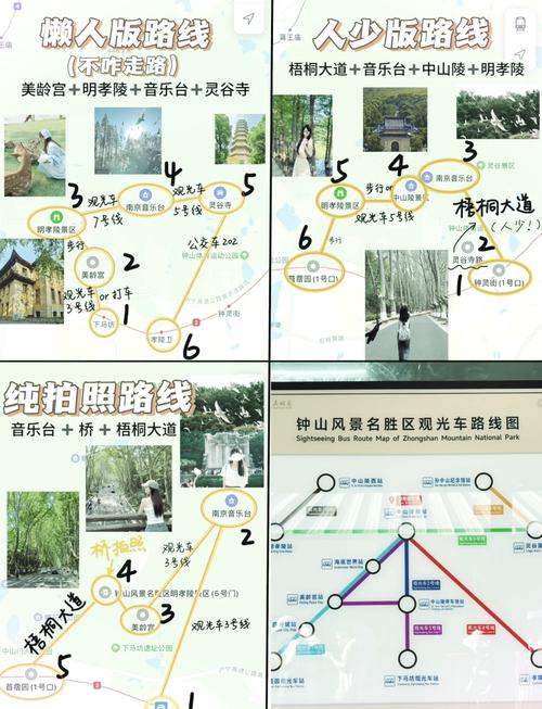 舒服逛钟山的正确打开方式