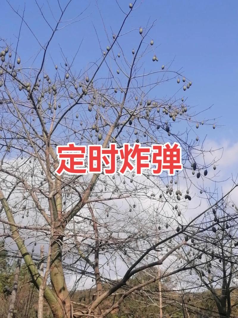 接头——最不起眼的定时炸弹