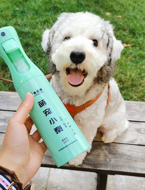 真正有用的宠物除臭，找对源头比啥都强